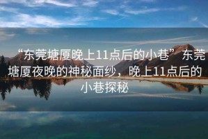 “東莞塘廈晚上11點后的小巷”東莞塘廈夜晚的神秘面紗，晚上11點后的小巷探秘