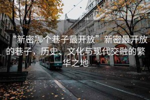 “新密哪個(gè)巷子最開放”新密最開放的巷子，歷史、文化與現(xiàn)代交融的繁華之地