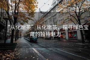 “從化嫩茶”從化嫩茶，探尋綠色寶藏的獨(dú)特魅力