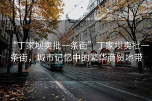 “丁家壩賣批一條街”丁家壩賣批一條街，城市記憶中的繁華商貿(mào)地帶