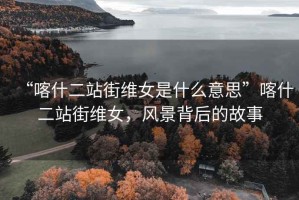 “喀什二站街維女是什么意思”喀什二站街維女，風(fēng)景背后的故事