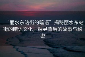 “麗水東站街的暗語”揭秘麗水東站街的暗語文化，探尋背后的故事與秘密
