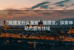 “搖擺龍什么服務(wù)”搖擺龍，探索神秘的服務(wù)領(lǐng)域