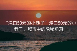 “沌口50元的小巷子”沌口50元的小巷子，城市中的隱秘角落