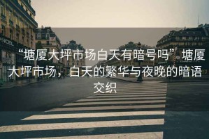 “塘廈大坪市場白天有暗號嗎”塘廈大坪市場，白天的繁華與夜晚的暗語交織