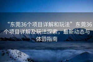“東莞36個(gè)項(xiàng)目詳解和玩法”東莞36個(gè)項(xiàng)目詳解及玩法探索，最新動(dòng)態(tài)與體驗(yàn)指南