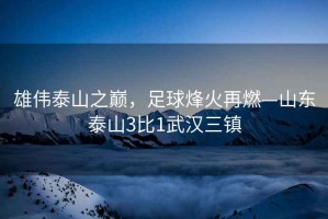 雄偉泰山之巔，足球烽火再燃—山東泰山3比1武漢三鎮(zhèn)