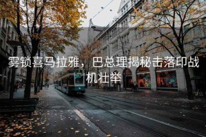霧鎖喜馬拉雅，巴總理揭秘?fù)袈溆?zhàn)機(jī)壯舉
