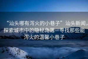 “汕頭哪有瀉火的小巷子”汕頭新聞，探索城市中的隱秘角落—尋找那些能瀉火的溫馨小巷子