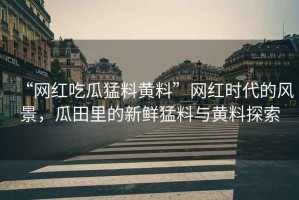 “網(wǎng)紅吃瓜猛料黃料”網(wǎng)紅時代的風景，瓜田里的新鮮猛料與黃料探索