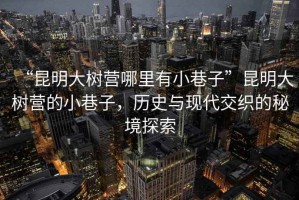 “昆明大樹營哪里有小巷子”昆明大樹營的小巷子，歷史與現(xiàn)代交織的秘境探索