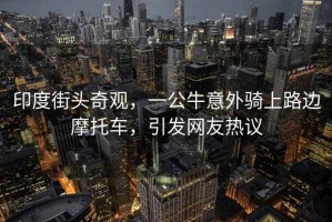 印度街頭奇觀，一公牛意外騎上路邊摩托車，引發(fā)網(wǎng)友熱議