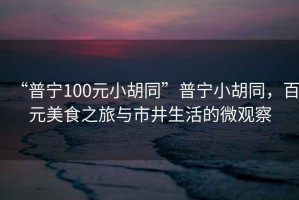 “普寧100元小胡同”普寧小胡同，百元美食之旅與市井生活的微觀察