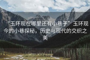“玉環(huán)現(xiàn)在哪里還有小巷子”玉環(huán)現(xiàn)今的小巷探秘，歷史與現(xiàn)代的交織之美