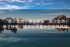 “南沙金洲小巷子快餐”南沙金洲小巷子快餐，城市快節(jié)奏中的獨特風(fēng)味