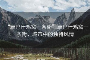 “康巴什雞窩一條街”康巴什雞窩一條街，城市中的獨(dú)特風(fēng)情