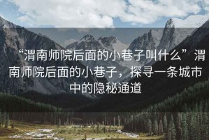 “渭南師院后面的小巷子叫什么”渭南師院后面的小巷子，探尋一條城市中的隱秘通道