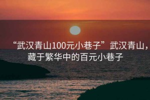 “武漢青山100元小巷子”武漢青山，藏于繁華中的百元小巷子
