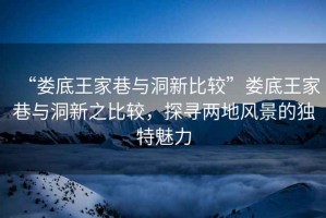 “婁底王家巷與洞新比較”婁底王家巷與洞新之比較，探尋兩地風(fēng)景的獨(dú)特魅力