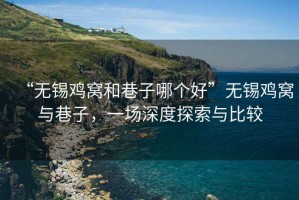 “無錫雞窩和巷子哪個(gè)好”無錫雞窩與巷子，一場深度探索與比較