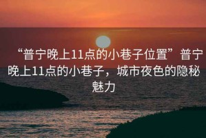 “普寧晚上11點的小巷子位置”普寧晚上11點的小巷子，城市夜色的隱秘魅力