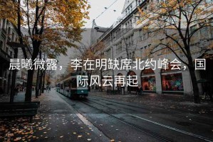 晨曦微露，李在明缺席北約峰會，國際風(fēng)云再起