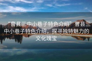 “曹縣三中小巷子特色介紹”曹縣三中小巷子特色介紹，探尋獨(dú)特魅力的文化瑰寶
