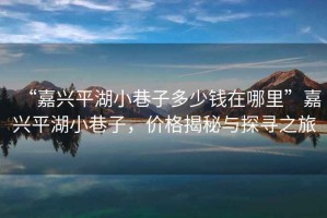 “嘉興平湖小巷子多少錢在哪里”嘉興平湖小巷子，價格揭秘與探尋之旅