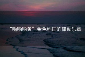 “啪啪啪黃”金色稻田的律動(dòng)樂(lè)章