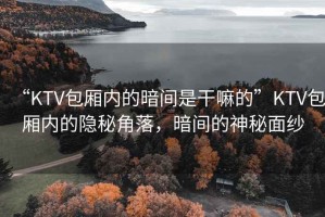 “KTV包廂內(nèi)的暗間是干嘛的”KTV包廂內(nèi)的隱秘角落，暗間的神秘面紗