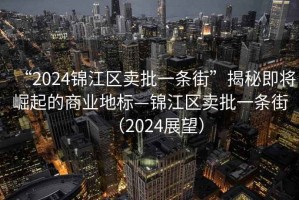 “2024錦江區(qū)賣(mài)批一條街”揭秘即將崛起的商業(yè)地標(biāo)—錦江區(qū)賣(mài)批一條街（2024展望）