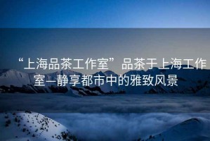 “上海品茶工作室”品茶于上海工作室—靜享都市中的雅致風(fēng)景
