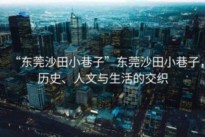“東莞沙田小巷子”東莞沙田小巷子，歷史、人文與生活的交織