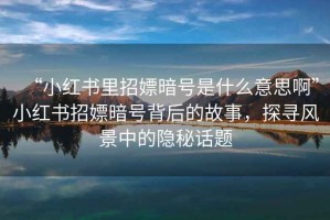 “小紅書里招嫖暗號(hào)是什么意思啊”小紅書招嫖暗號(hào)背后的故事，探尋風(fēng)景中的隱秘話題