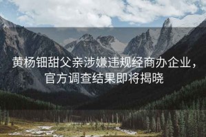 黃楊鈿甜父親涉嫌違規(guī)經(jīng)商辦企業(yè)，官方調(diào)查結(jié)果即將揭曉
