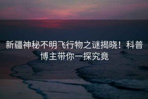新疆神秘不明飛行物之謎揭曉！科普博主帶你一探究竟