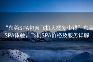 “東莞SPA包含飛機大概多少錢”東莞SPA體驗，飛機SPA價格及服務(wù)詳解