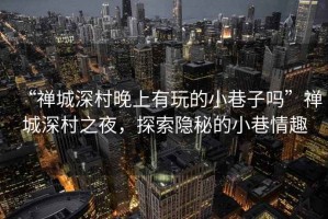“禪城深村晚上有玩的小巷子嗎”禪城深村之夜，探索隱秘的小巷情趣