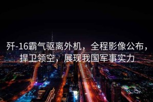 殲-16霸氣驅(qū)離外機，全程影像公布，捍衛(wèi)領(lǐng)空，展現(xiàn)我國軍事實力