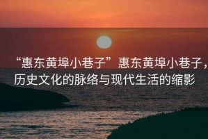 “惠東黃埠小巷子”惠東黃埠小巷子，歷史文化的脈絡(luò)與現(xiàn)代生活的縮影