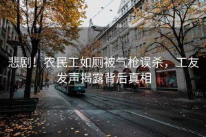 悲??！農(nóng)民工如廁被氣槍誤殺，工友發(fā)聲揭露背后真相