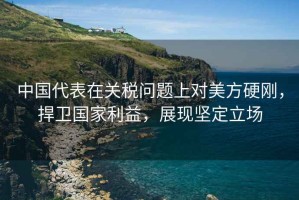 中國(guó)代表在關(guān)稅問(wèn)題上對(duì)美方硬剛，捍衛(wèi)國(guó)家利益，展現(xiàn)堅(jiān)定立場(chǎng)