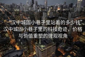 “漢中城固小巷子里站著的多少錢”漢中城固小巷子里的科技奇跡，價格與價值重塑的微觀視角