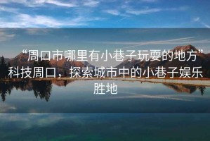 “周口市哪里有小巷子玩耍的地方”科技周口，探索城市中的小巷子娛樂勝地