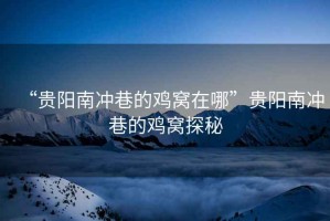 “貴陽南沖巷的雞窩在哪”貴陽南沖巷的雞窩探秘