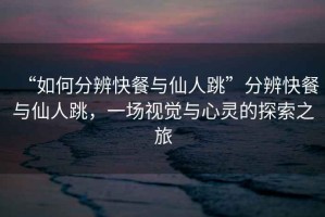 “如何分辨快餐與仙人跳”分辨快餐與仙人跳，一場視覺與心靈的探索之旅