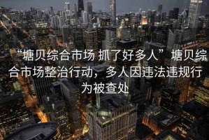 “塘貝綜合市場 抓了好多人”塘貝綜合市場整治行動，多人因違法違規(guī)行為被查處