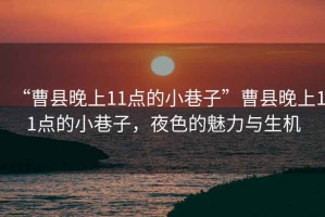 “曹縣晚上11點(diǎn)的小巷子”曹縣晚上11點(diǎn)的小巷子，夜色的魅力與生機(jī)