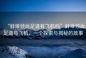 “蚌埠領(lǐng)尚足道有飛機(jī)嗎”蚌埠領(lǐng)尚足道與飛機(jī)，一個探索與揭秘的故事