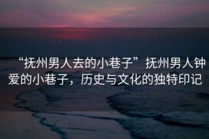 “撫州男人去的小巷子”撫州男人鐘愛的小巷子，歷史與文化的獨特印記